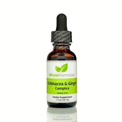 Whole Formulas Echinacea & Ginger Complex, 1 fl oz